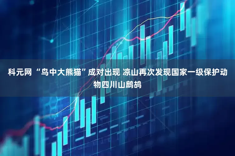 科元网 “鸟中大熊猫”成对出现 凉山再次发现国家一级保护动物四川山鹧鸪