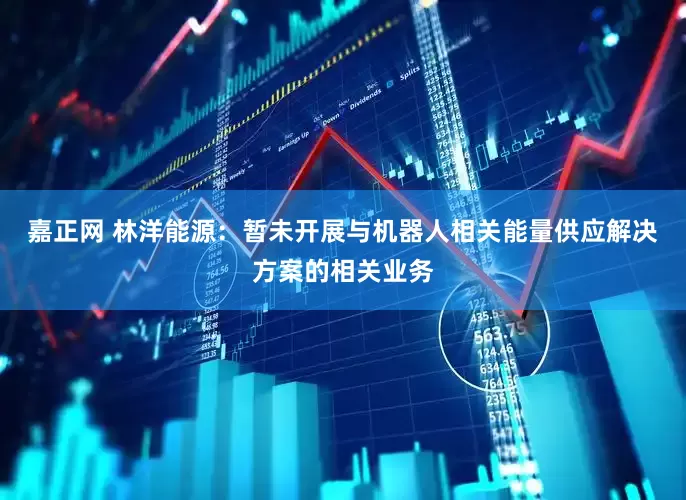 嘉正网 林洋能源：暂未开展与机器人相关能量供应解决方案的相关业务